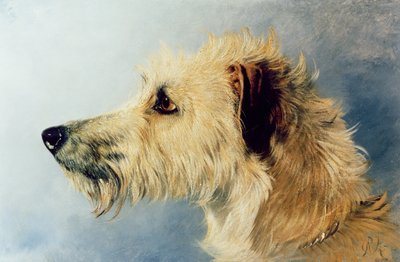 Testa di cane da Richard Ansdell